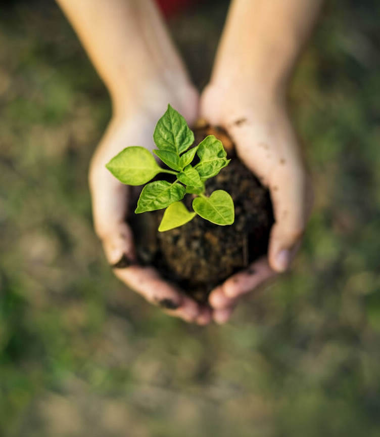 Sustentabilidade EMPPAR